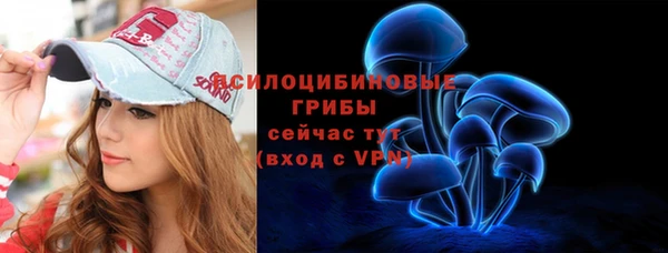 PSILOCYBIN Гусиноозёрск